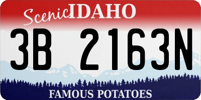 ID license plate 3B2163N