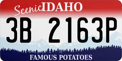ID license plate 3B2163P