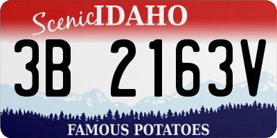 ID license plate 3B2163V