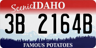 ID license plate 3B2164B