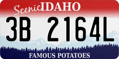 ID license plate 3B2164L