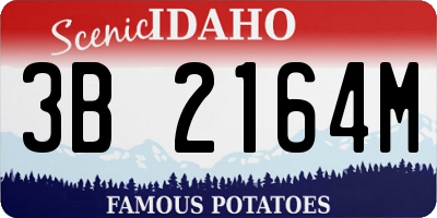 ID license plate 3B2164M