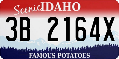 ID license plate 3B2164X