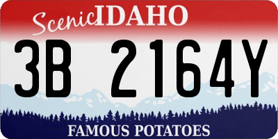 ID license plate 3B2164Y