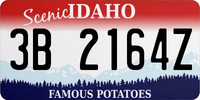 ID license plate 3B2164Z