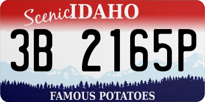 ID license plate 3B2165P