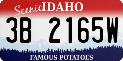 ID license plate 3B2165W