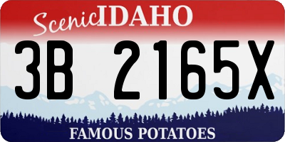 ID license plate 3B2165X