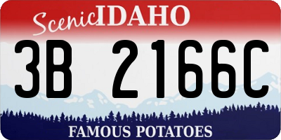 ID license plate 3B2166C