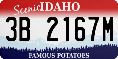 ID license plate 3B2167M