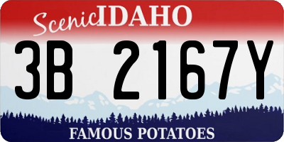 ID license plate 3B2167Y