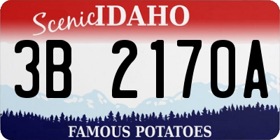 ID license plate 3B2170A