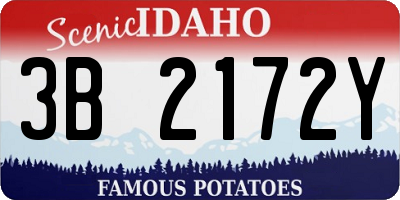 ID license plate 3B2172Y