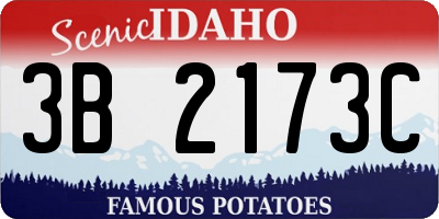 ID license plate 3B2173C