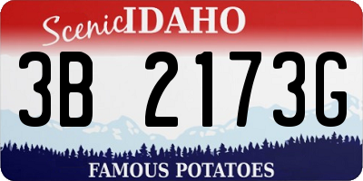 ID license plate 3B2173G