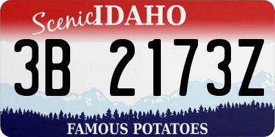 ID license plate 3B2173Z