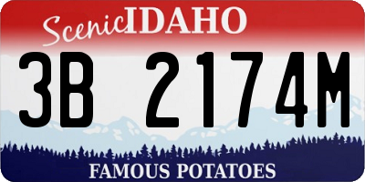 ID license plate 3B2174M