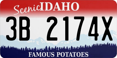 ID license plate 3B2174X