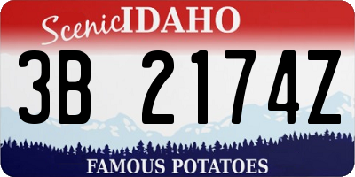 ID license plate 3B2174Z