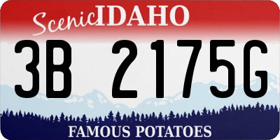 ID license plate 3B2175G