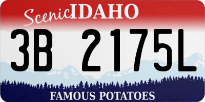 ID license plate 3B2175L