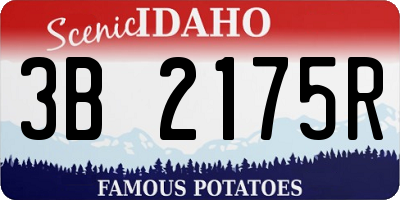 ID license plate 3B2175R