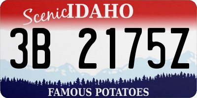 ID license plate 3B2175Z