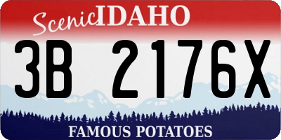 ID license plate 3B2176X
