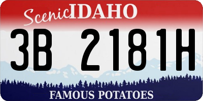 ID license plate 3B2181H