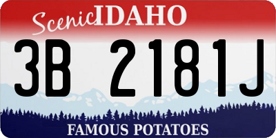 ID license plate 3B2181J