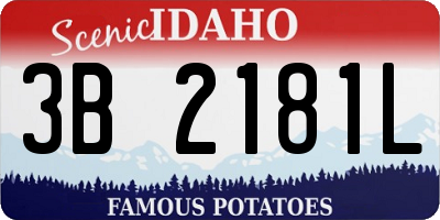 ID license plate 3B2181L