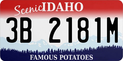 ID license plate 3B2181M
