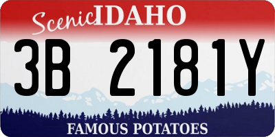 ID license plate 3B2181Y