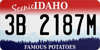 ID license plate 3B2187M