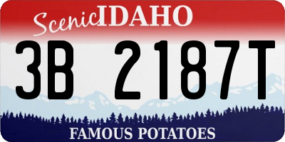 ID license plate 3B2187T
