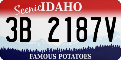 ID license plate 3B2187V