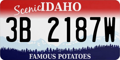 ID license plate 3B2187W