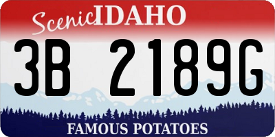 ID license plate 3B2189G