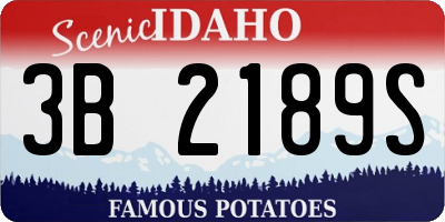 ID license plate 3B2189S