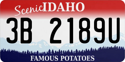 ID license plate 3B2189U