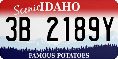 ID license plate 3B2189Y