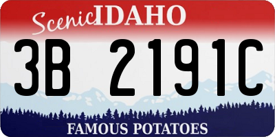 ID license plate 3B2191C