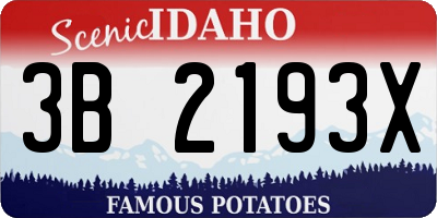 ID license plate 3B2193X