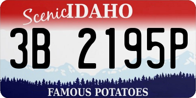 ID license plate 3B2195P