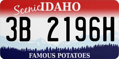 ID license plate 3B2196H