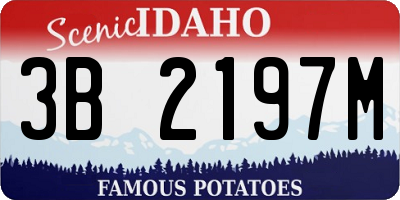ID license plate 3B2197M