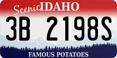 ID license plate 3B2198S