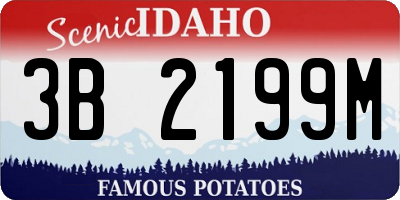 ID license plate 3B2199M