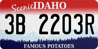 ID license plate 3B2203R