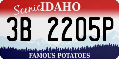ID license plate 3B2205P